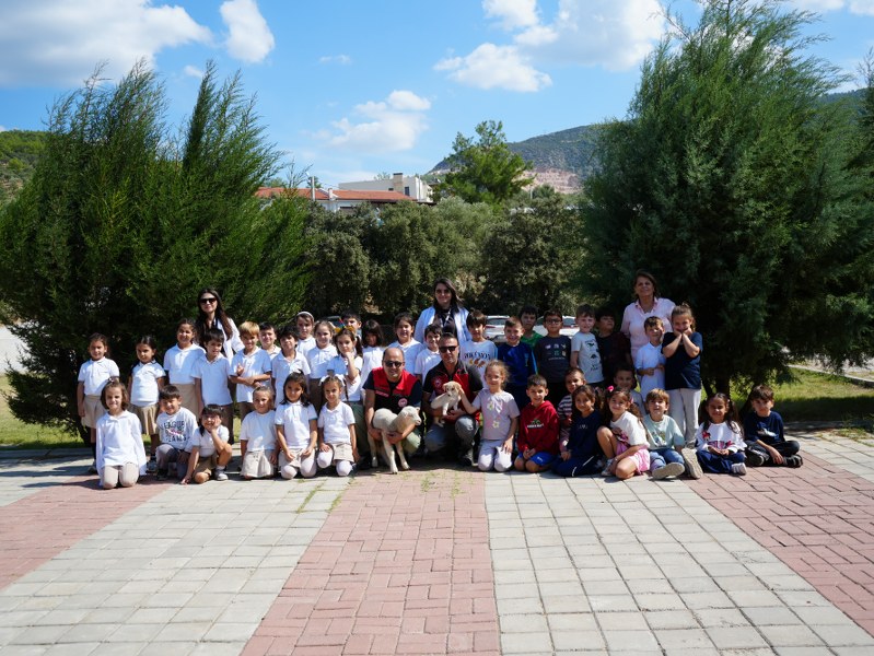 dsc01213 799x600